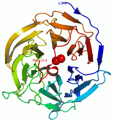 Image Asym./Biol. Unit - manually