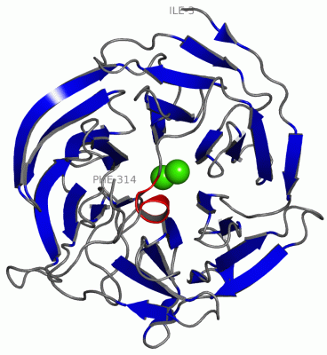 Image Asym./Biol. Unit - manually