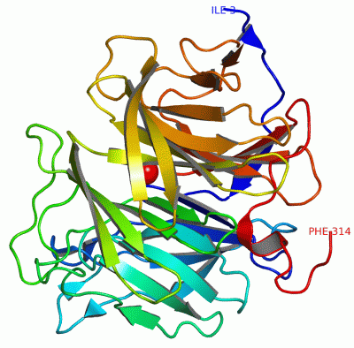 Image Asym./Biol. Unit - manually