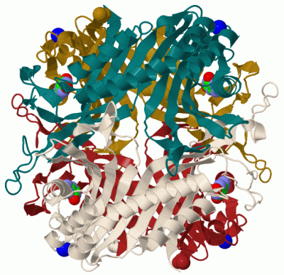 Image Biol.Unit 1 - manually