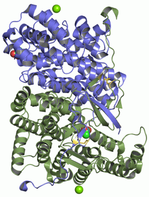 Image Asym./Biol. Unit - manually