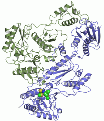 Image Asym./Biol. Unit - manually