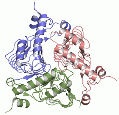 Image Asym./Biol. Unit - manually