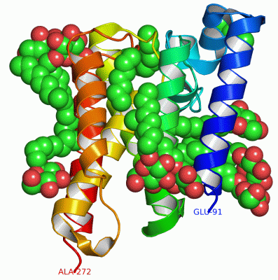 Image Asym./Biol. Unit - manually