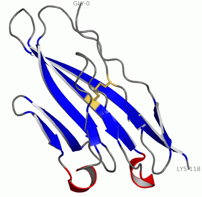 Image Asym./Biol. Unit - manually