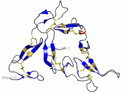 Image Theor.Model - manually