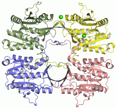 Image Asym./Biol. Unit - manually