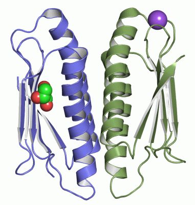 Image Asym./Biol. Unit - manually