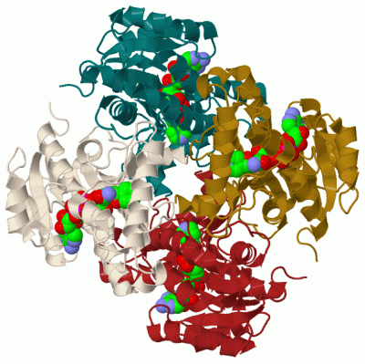 Image Biol.Unit 1 - manually