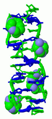 Image Biol.Unit 1 - manually