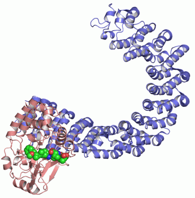 Image Asym./Biol. Unit - manually