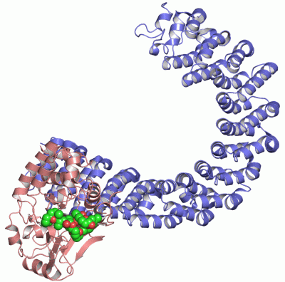 Image Asym./Biol. Unit - manually