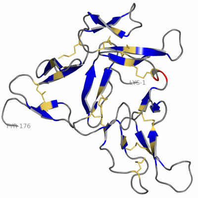 Image Theor.Model - manually