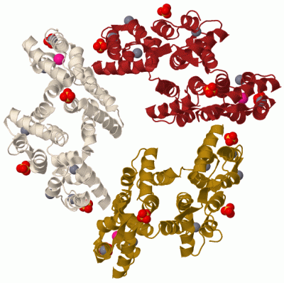 Image Biol.Unit 1 - manually