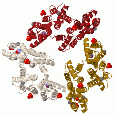 Image Biol.Unit 1 - manually