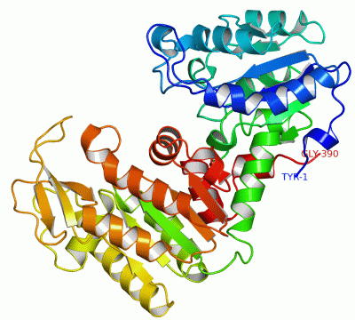 Image Asym./Biol. Unit - manually