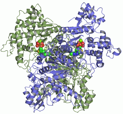 Image Asym./Biol. Unit - manually