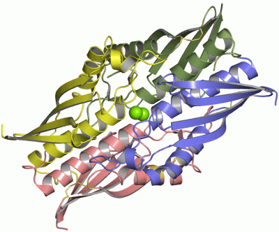 Image Asym./Biol. Unit - manually