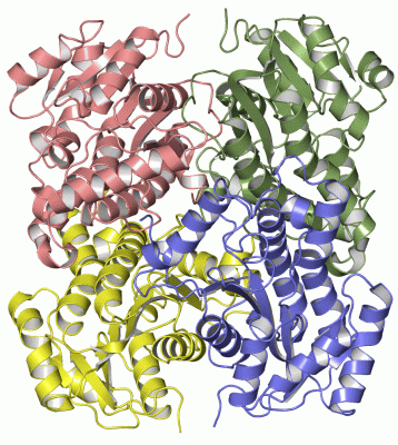 Image Asym./Biol. Unit - manually