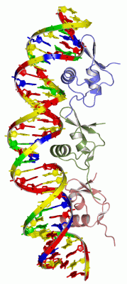 Image Asym./Biol. Unit - manually