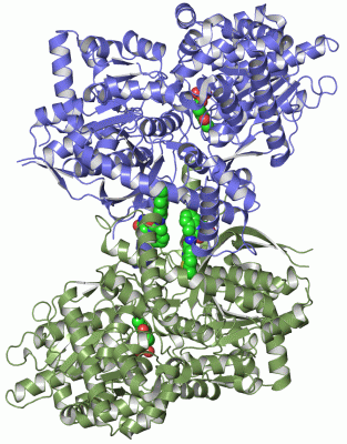 Image Asym./Biol. Unit - manually