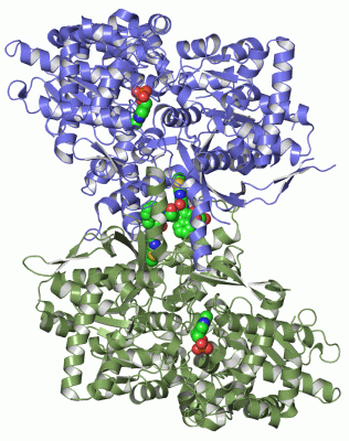 Image Asym./Biol. Unit - manually