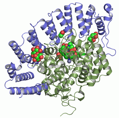 Image Asym./Biol. Unit - manually