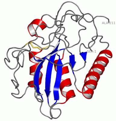 Image NMR Structure - manually