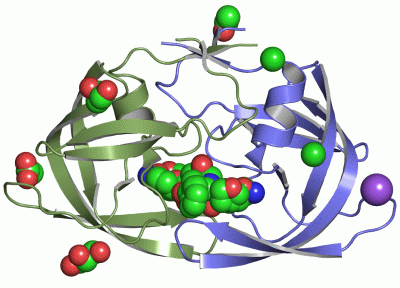 Image Asym./Biol. Unit - manually