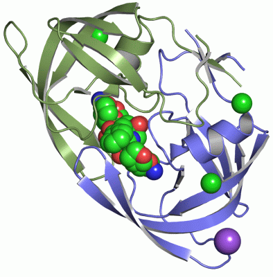 Image Asym./Biol. Unit - manually