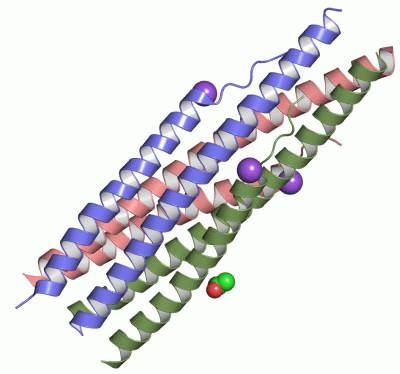 Image Asym./Biol. Unit - manually