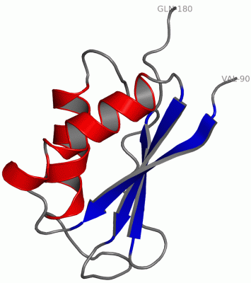 Image NMR Structure - manually