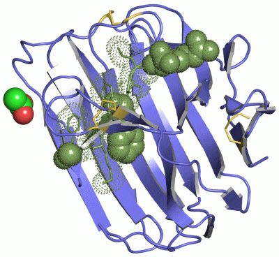 Image Asym./Biol. Unit - manually