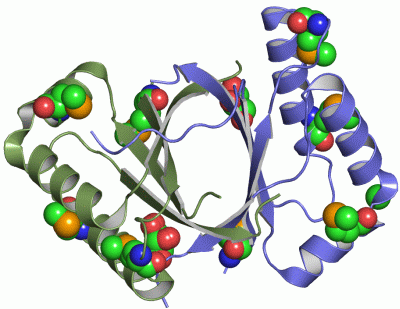 Image Asym./Biol. Unit - manually