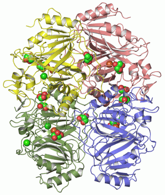 Image Asym./Biol. Unit - manually