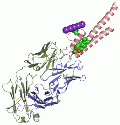 Image Asym.Unit - manually