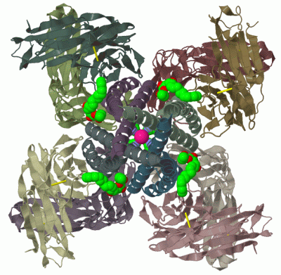 Image Biol.Unit 1 - manually