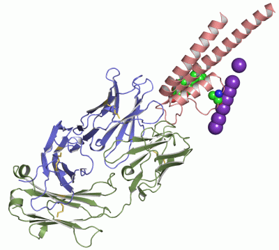Image Asym.Unit - manually