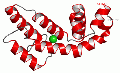 Image Asym./Biol. Unit - manually