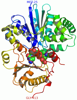 Image Asym./Biol. Unit - manually