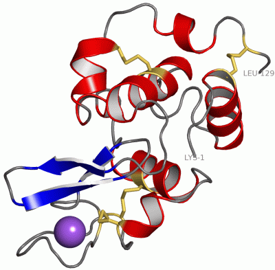Image Asym./Biol. Unit - manually