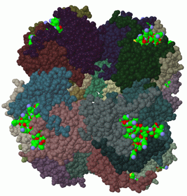 Image Biol.Unit 1 - manually