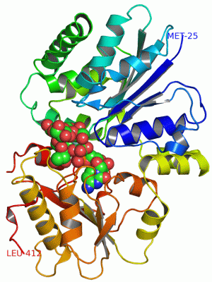 Image Asym./Biol. Unit - manually