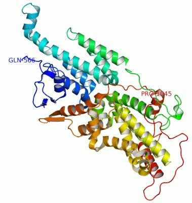 Image Asym./Biol. Unit - manually