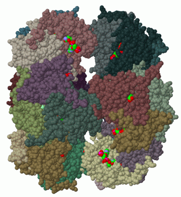 Image Biol.Unit 1 - manually