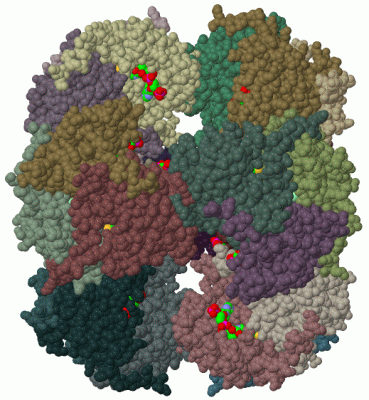 Image Biol.Unit 1 - manually