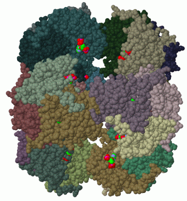 Image Biol.Unit 1 - manually