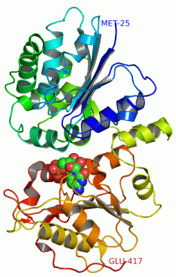 Image Asym./Biol. Unit - manually