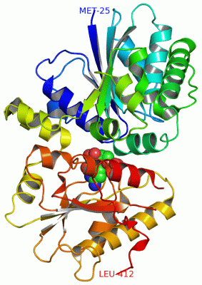 Image Asym./Biol. Unit - manually