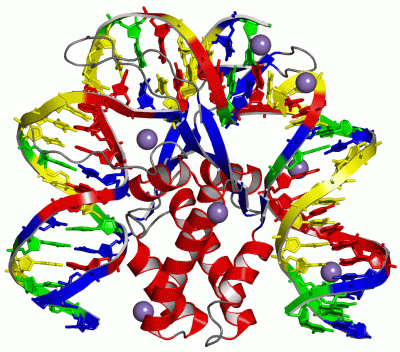 Image Asym./Biol. Unit - manually